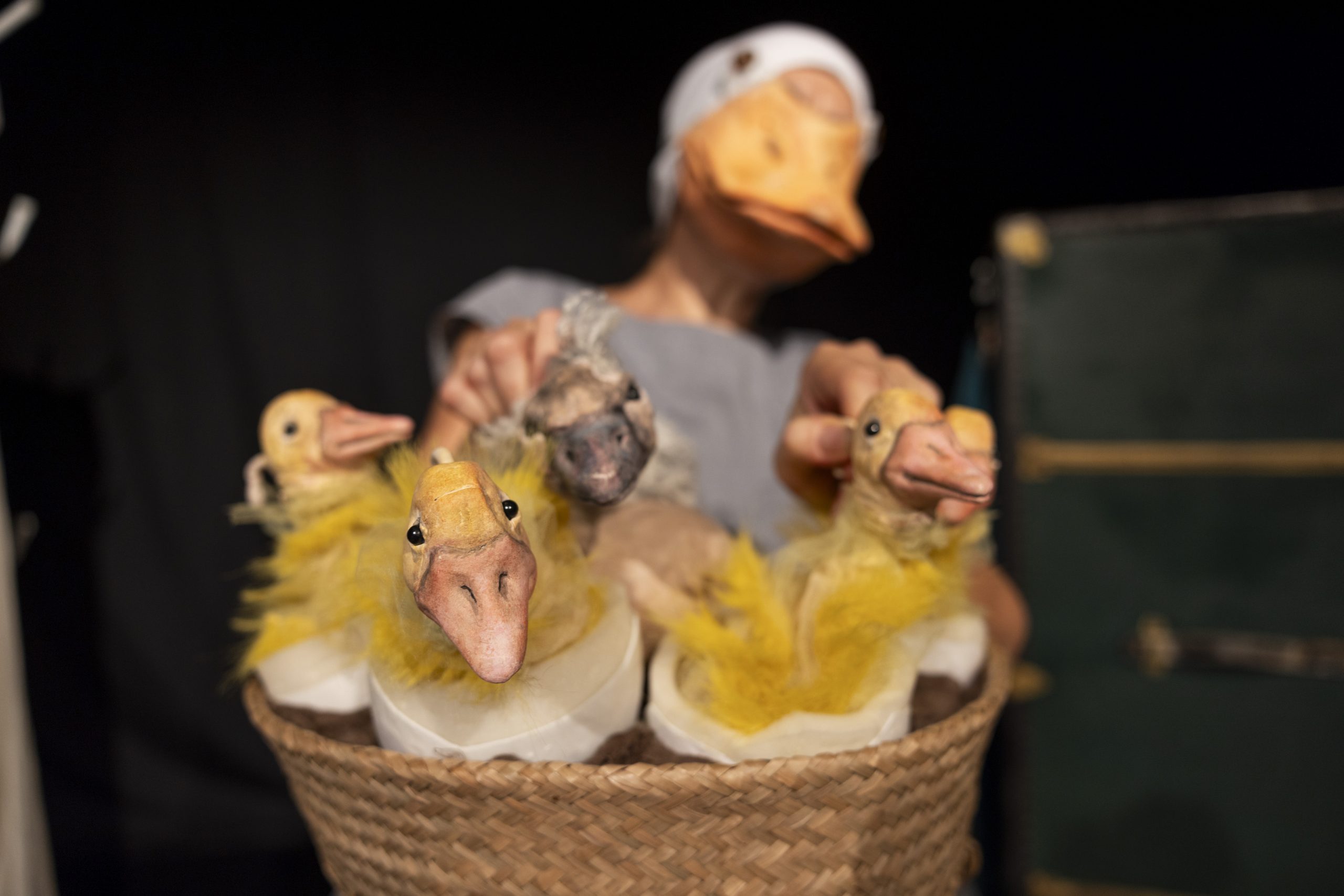 Eva Sotriffer – Schwanen